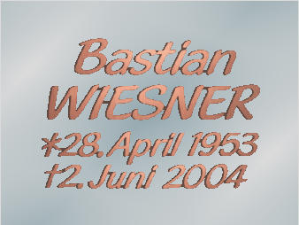 Bronzeschriftzug "Wiesner", Strassacker 71034